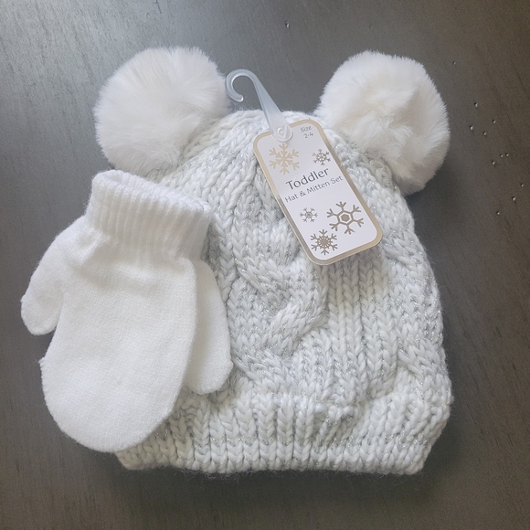 Big Lots Other - NWT Toddler Hat & Mitten Set